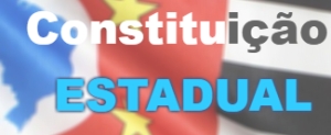Logotipo - Constituição Estadual